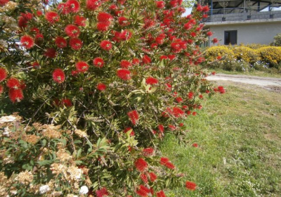 Casa Vacanze Appartamento Il Gelsomino Siciliano